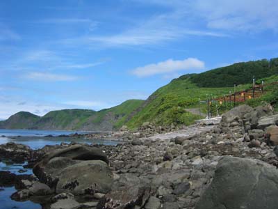 study site